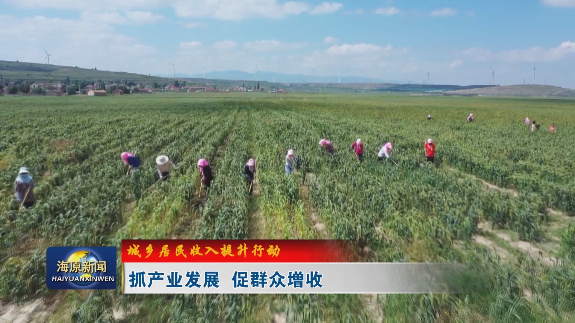 【城乡居民收入提升行动】抓产业发展 促群众增收