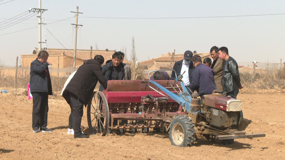 今日之时365天第二季_bat365官网登录_bat365在线官网平台6.5万亩春小麦开播