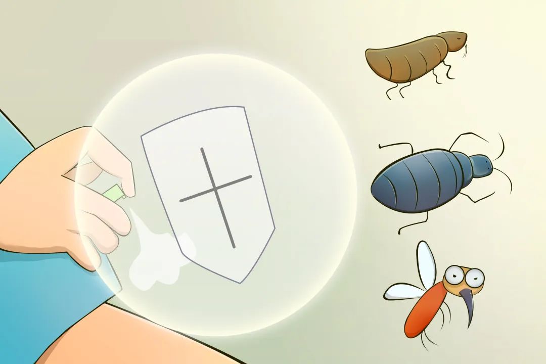 【健康海原】夏天到了，如何减少蚊、蝇等病媒生物的侵扰？