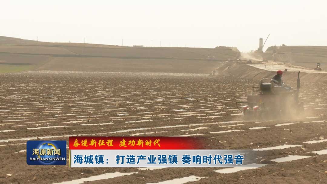 【奋进新征程 建功新时代】海城镇：打造产业强镇  奏响时代强音