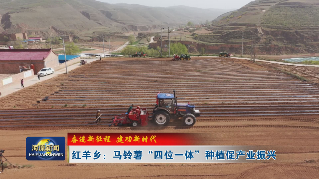 【奋进新征程 建功新时代】红羊乡：马铃薯“四位一体”种植促产业振兴