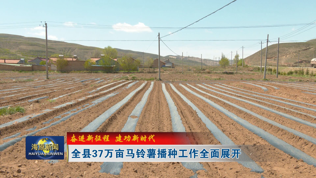 【奋进新征程 建功新时代】全县37万亩马铃薯播种工作全面展开