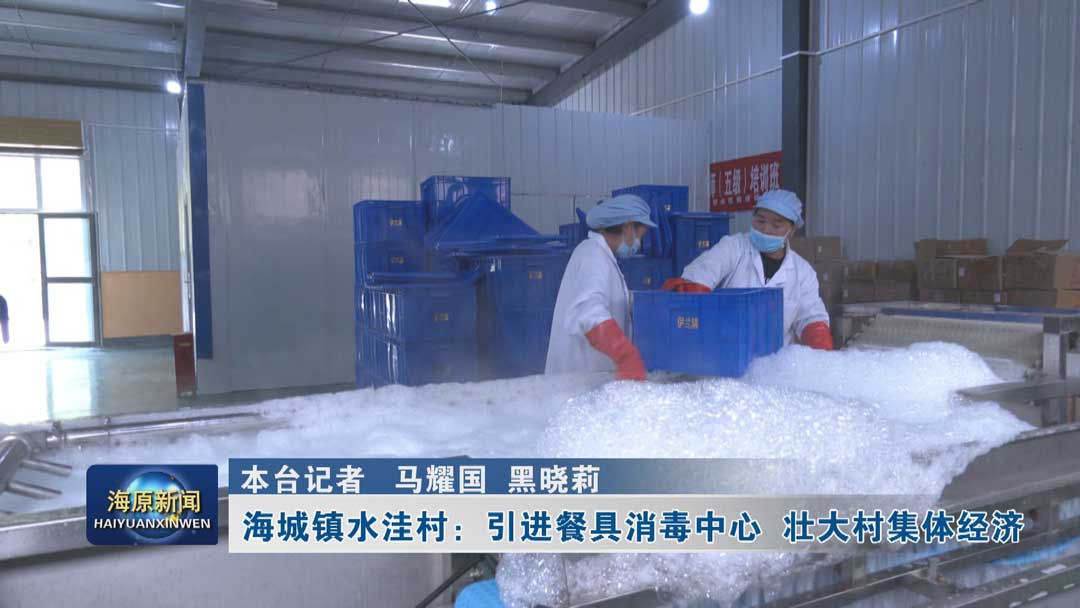 海城镇水洼村：引进餐具消毒中心  壮大村集体经济