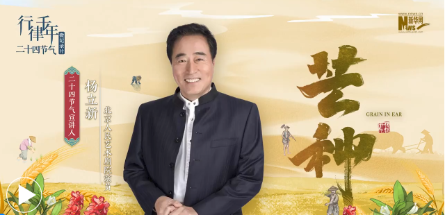 芒种•田家一雨插秧时｜行律千年——二十四节气微纪录片