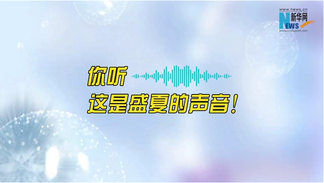 夏至|你听，这是盛夏的声音！