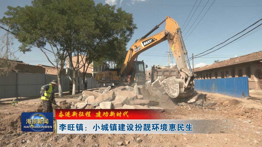 【奋进新征程 建功新时代】李旺镇：小城镇建设扮靓环境惠民生