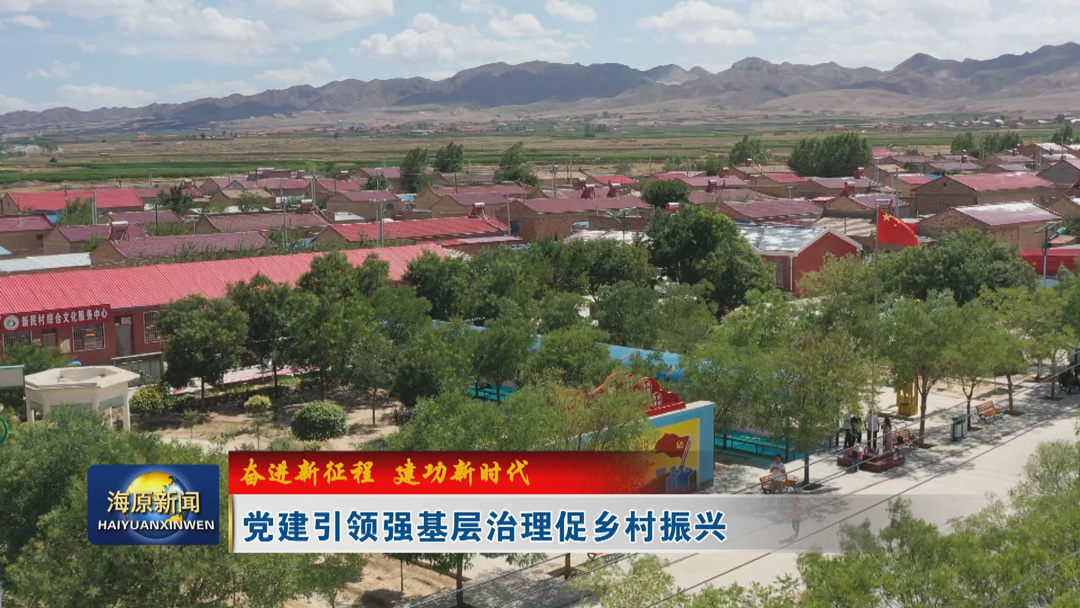 【奋进新征程  建功新时代】党建引领强基层治理促乡村振兴