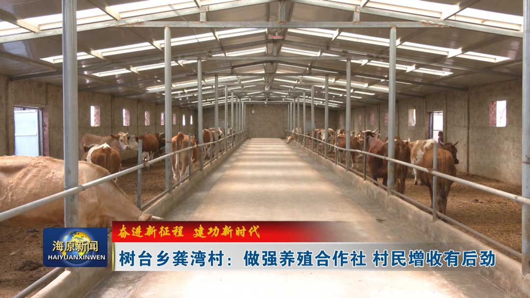 【奋进新征程  建功新时代】树台乡龚湾村：做强养殖合作社 村民增收有后劲
