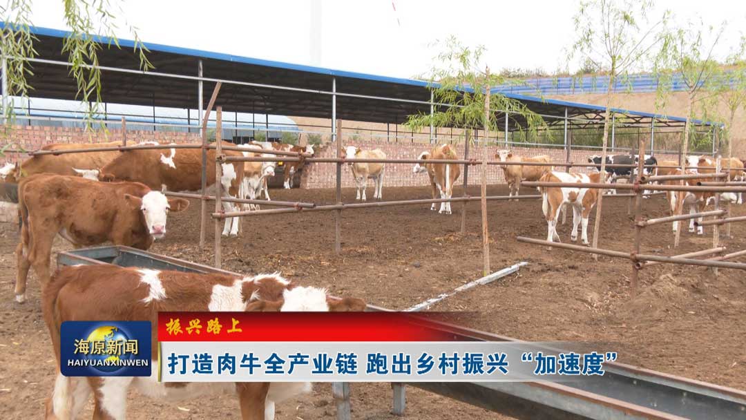 【振兴路上】打造肉牛全产业链 跑出乡村振兴 “加速度”