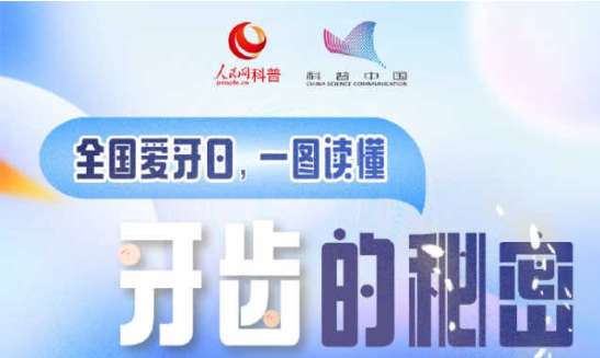 一图读懂 | 牙齿的秘密