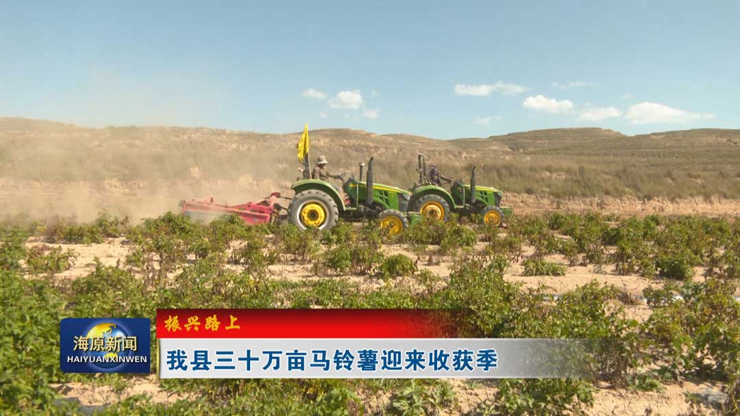 【振兴路上】今日之时365天第二季_bat365官网登录_bat365在线官网平台三十万亩马铃薯迎来收获季