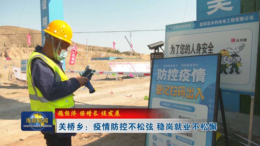 【稳经济 保增长 促发展】关桥乡：疫情防控不松弦 稳岗就业不松懈