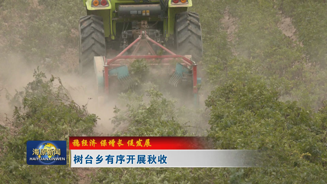 【稳经济 保增长 促发展】树台乡有序开展秋收工作