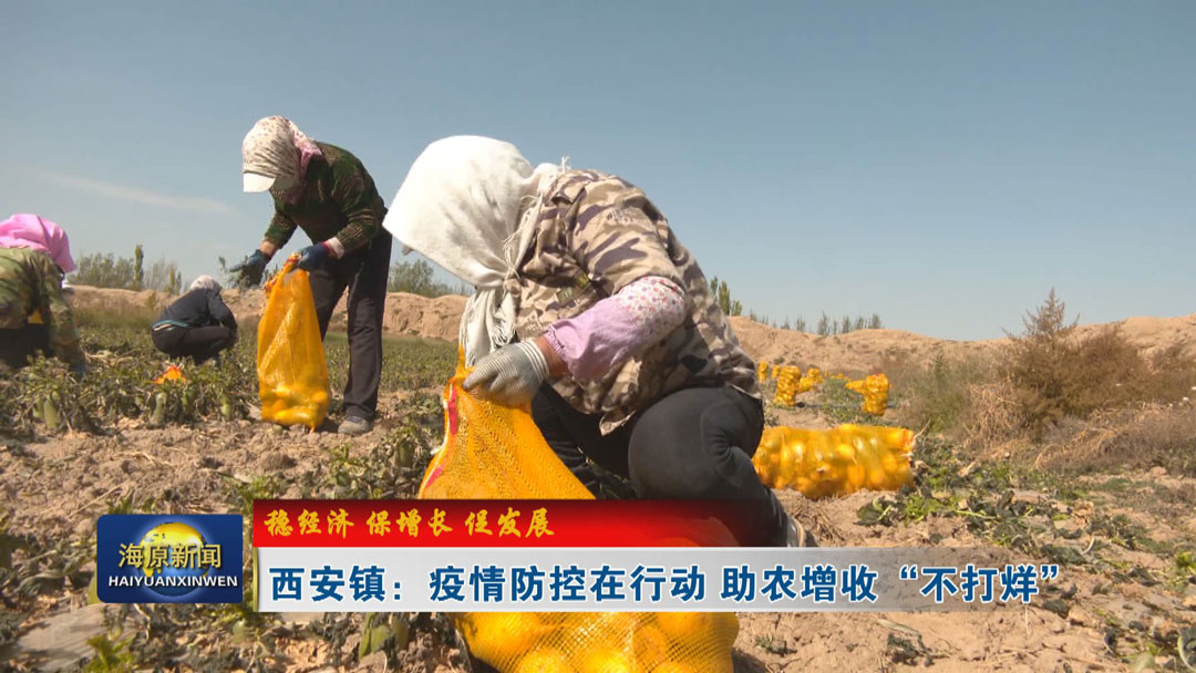 【稳经济  保增长  促发展】西安镇：疫情防控在行动  助农增收“不打烊”