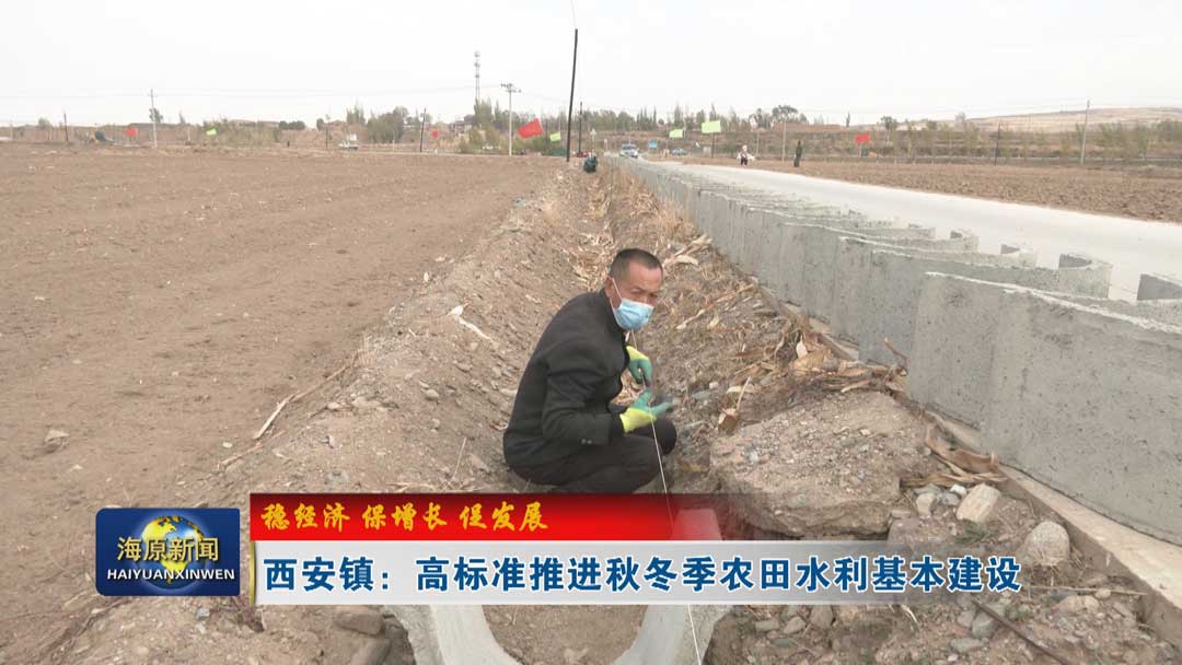 【稳经济 保增长 促发展】西安镇：高标准推进秋冬季农田水利基本建设