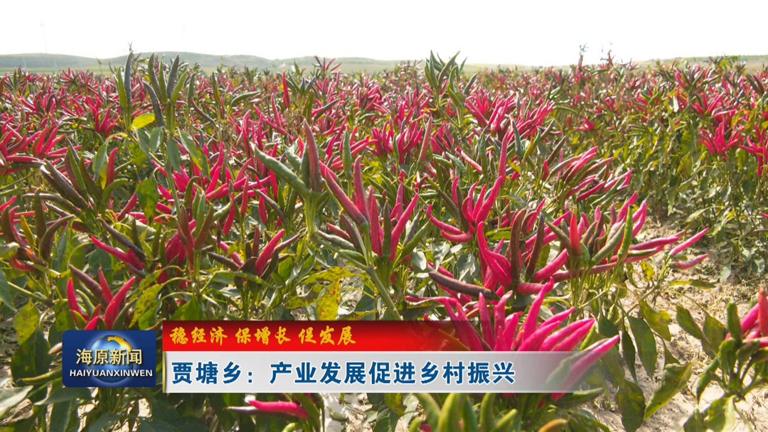 【稳经济 保增长 促发展】贾塘乡：产业发展促进乡村振兴