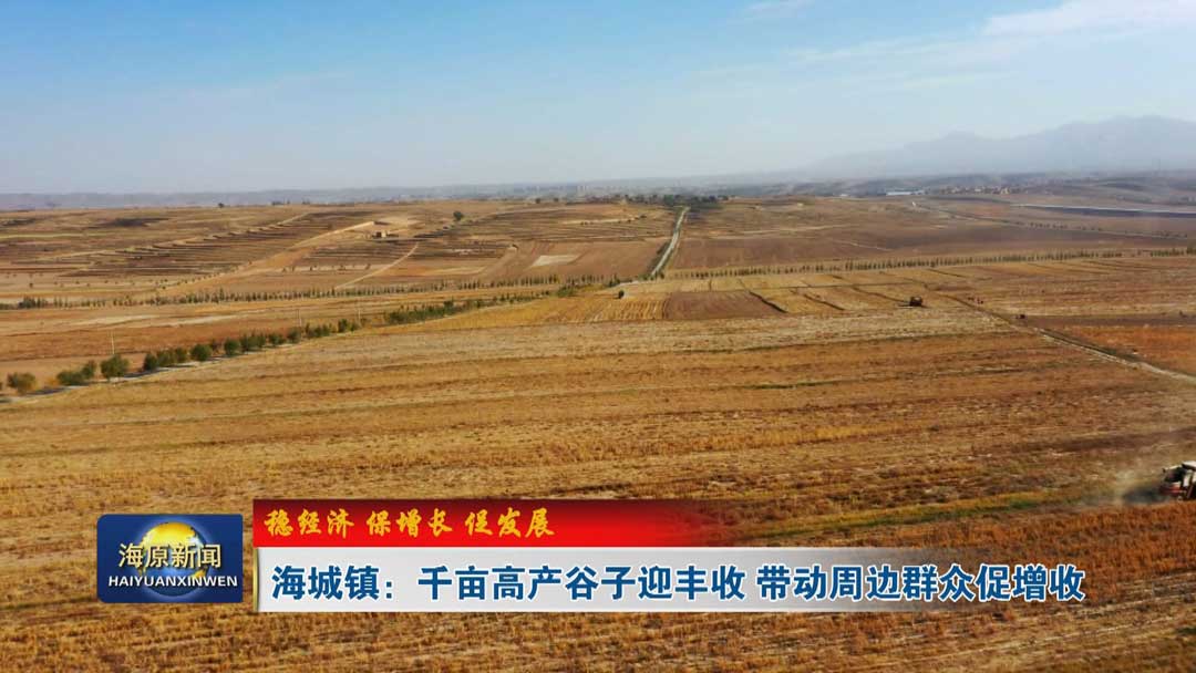 【稳经济 保增长 促发展】海城镇：千亩高产谷子迎丰收 带动周边群众促增收
