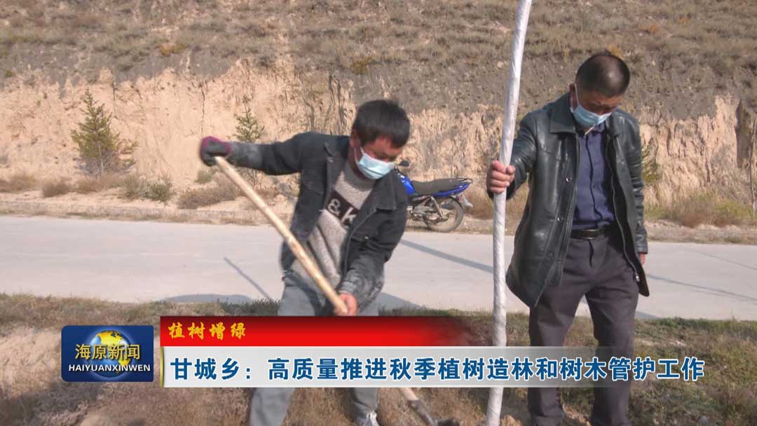 【植树增绿】甘城乡：高质量推进秋季植树造林和树木管护工作