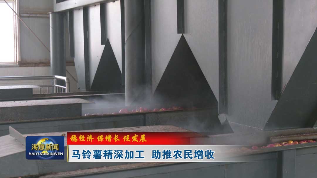 【稳经济 保增长 促发展】马铃薯精深加工 助推农民增收