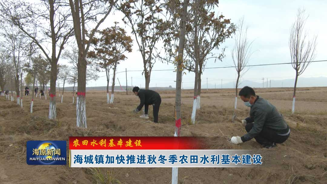 【农田水利基本建设】海城镇加快推进秋冬季农田水利基本建设