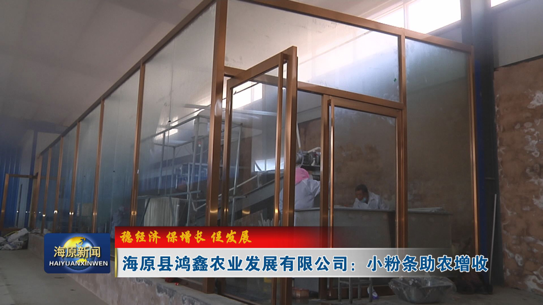 【稳经济 保增长 促发展】海原县鸿鑫农业发展有限公司：小粉条助农增收