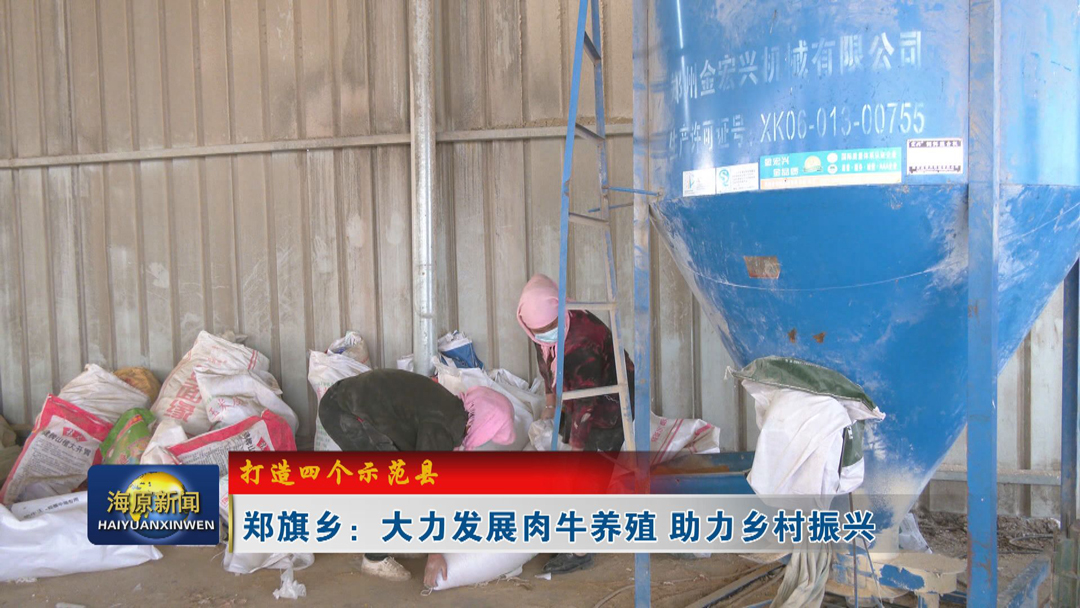 【打造四个示范县】郑旗乡：大力发展肉牛养殖 助力乡村振兴