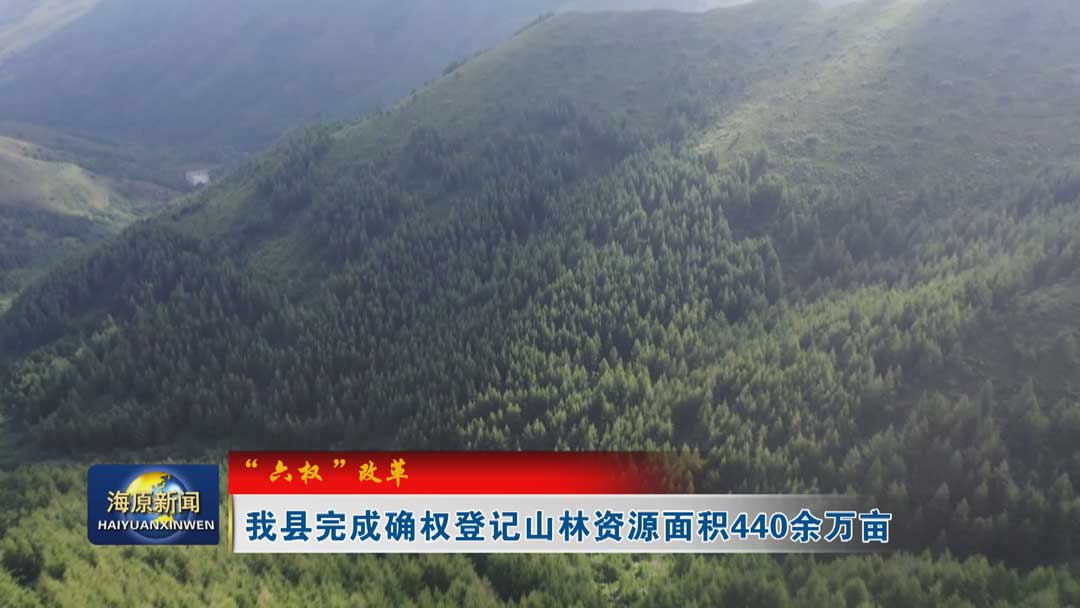 【“六权”改革】今日之时365天第二季_bat365官网登录_bat365在线官网平台完成确权登记山林资源面积440余万亩