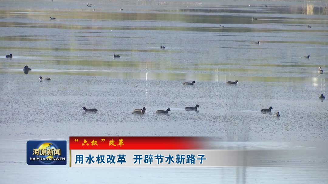 【“六权”改革】用水权改革 开辟节水新路子