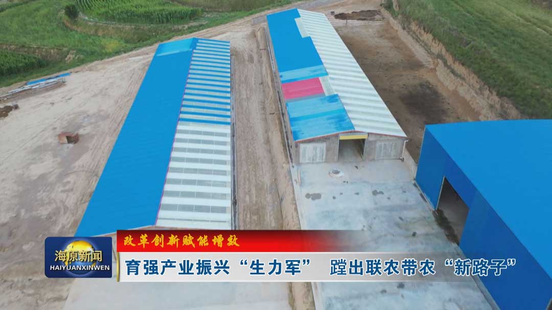 【改革创新赋能增效】育强产业振兴“生力军”   蹚出联农带农“新路子”