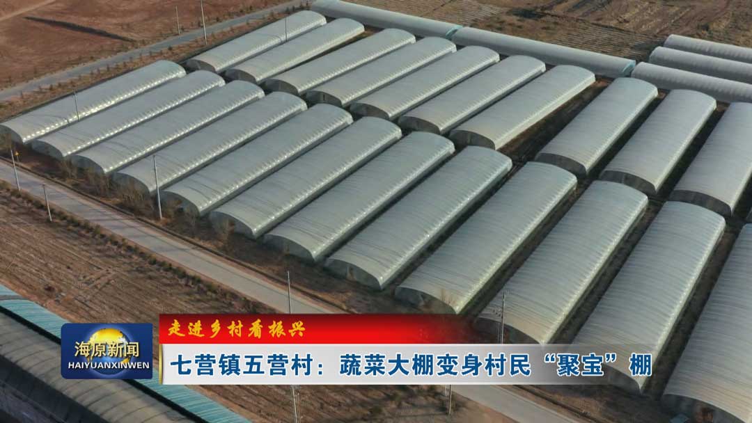 【走进乡村看振兴】七营镇五营村：蔬菜大棚变身村民“聚宝”棚