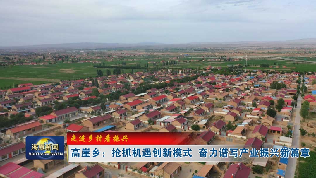 【走进乡村看振兴】高崖乡：抢抓机遇创新模式  奋力谱写产业振兴新篇章