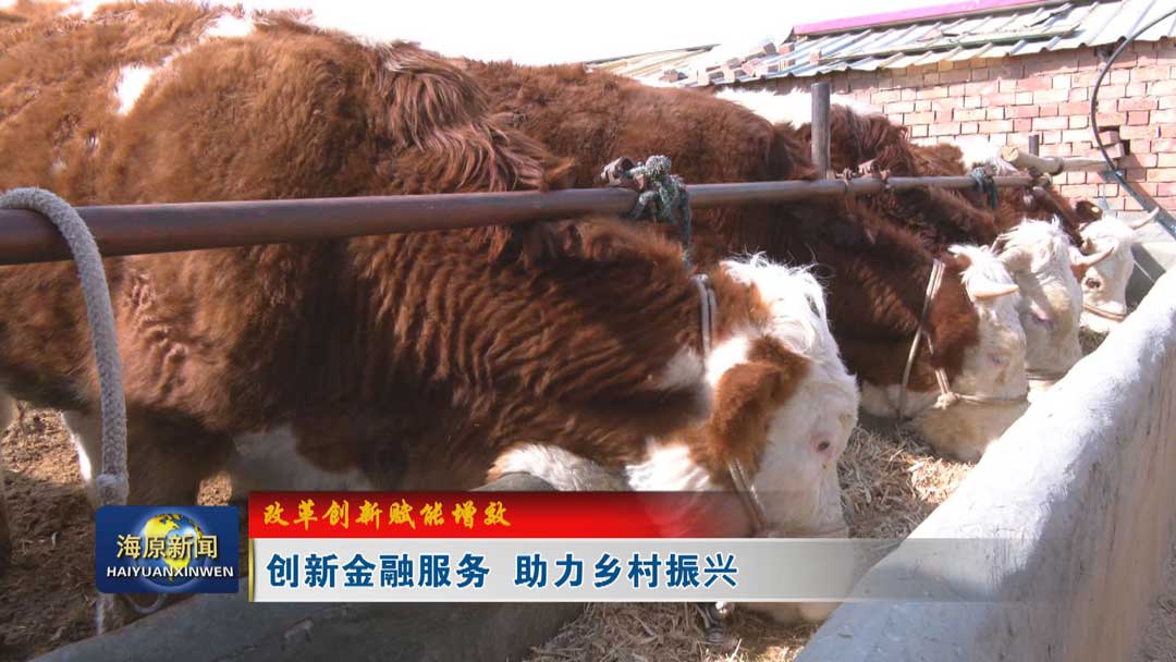 【改革创新赋能增效】创新金融服务 助力乡村振兴