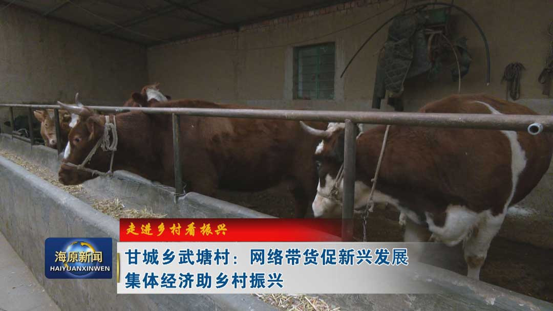 【走进乡村看振兴】甘城乡武塘村：网络带货促新兴发展 集体经济助乡村振兴