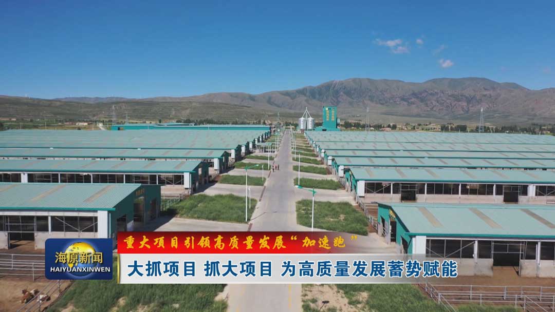 【重大项目引领高质量发展“加速跑”】大抓项目 抓大项目 为高质量发展蓄势赋能