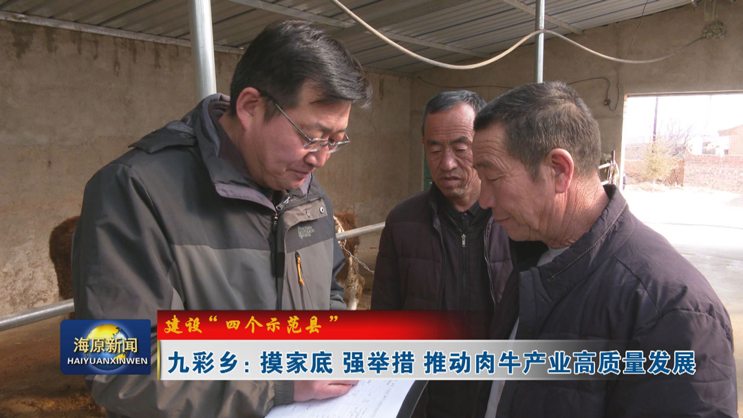 【建设“四个示范县”】九彩乡：摸家底 强举措 推动肉牛产业高质量发展