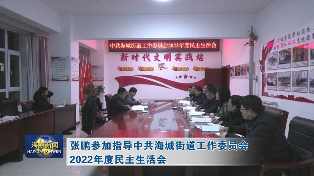 张鹏参加指导中共海城街道工作委员会2022年度民主生活会
